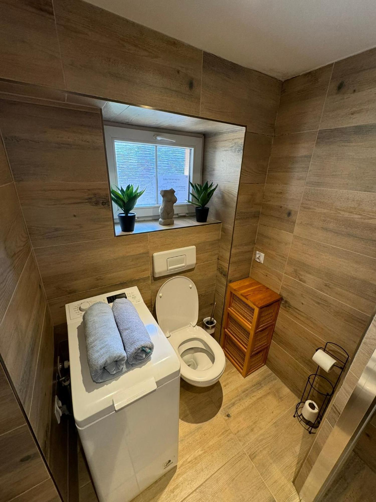 Apartman V Srdci Liberce ลิเบอเรซ ภายนอก รูปภาพ